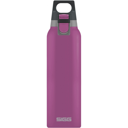 Drinkfles Sigg